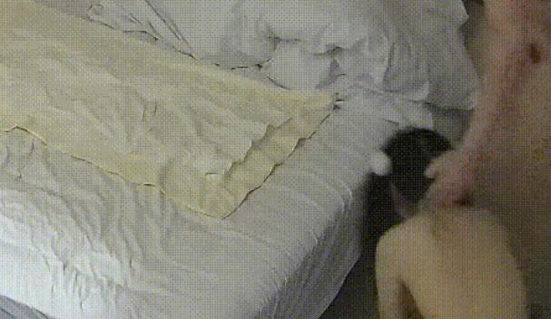 大学城 11-9 大哥带包养的小情人到酒店玩情趣 狗爬 插肛塞 看着视频后入 羡慕能玩到这么听话的妞