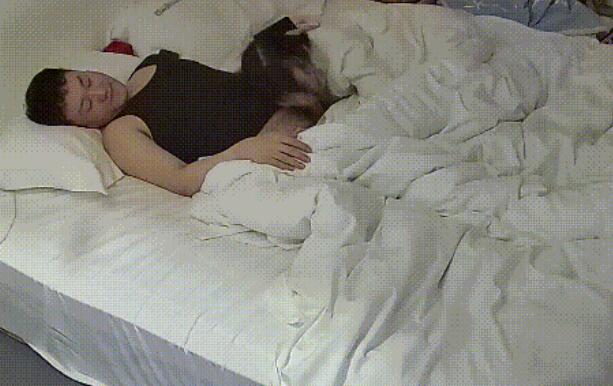 【酒店精品】高颜值双马尾萝莉被富哥骑身上调教成母狗了[65V28.4G]